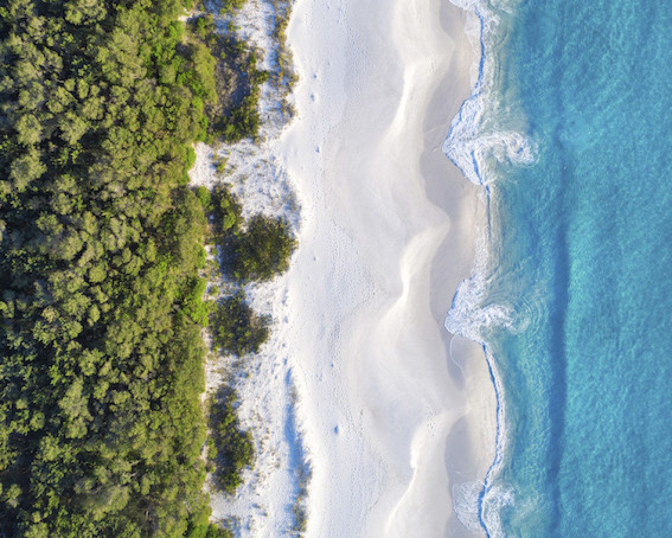 Image blog Uncover the Whitest Sand Beach and Ideal Stay with Search and Stay