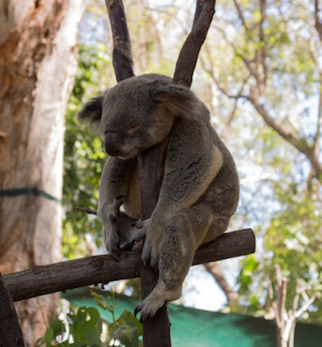 Image blog Top 10 Relaxing Holiday Destinations in Australia