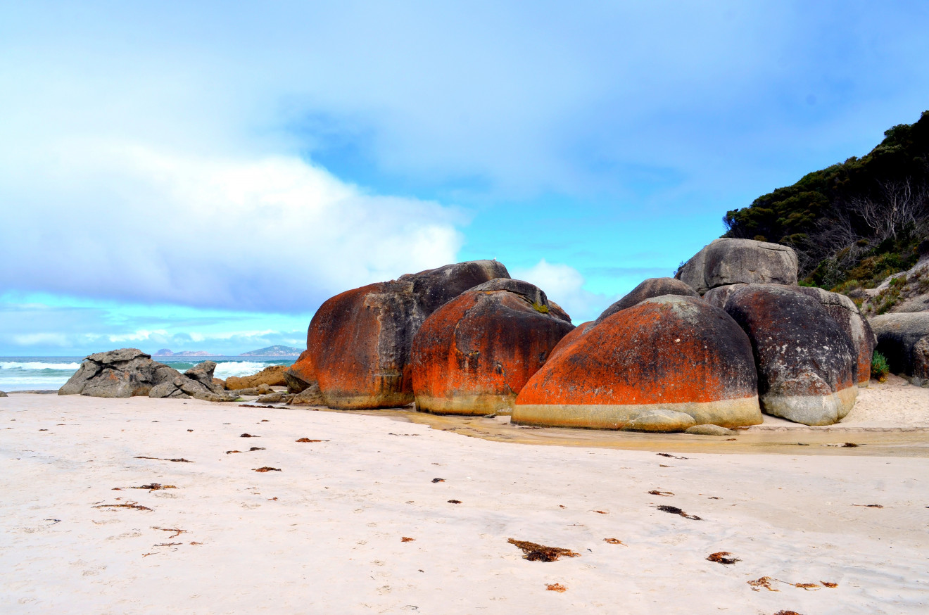 Image blog Discover Bliss at Wilsons Promontory National Park: Your Dream Stay Awaits with Search and Stay