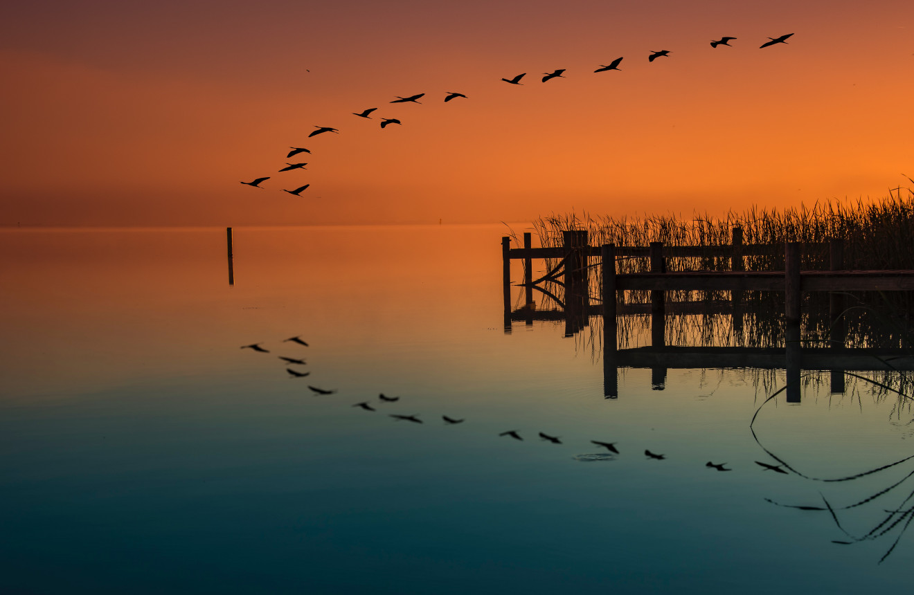 Image blog Explore Victor Harbor: Your Guide to Unforgettable Holiday Rentals with Search and Stay