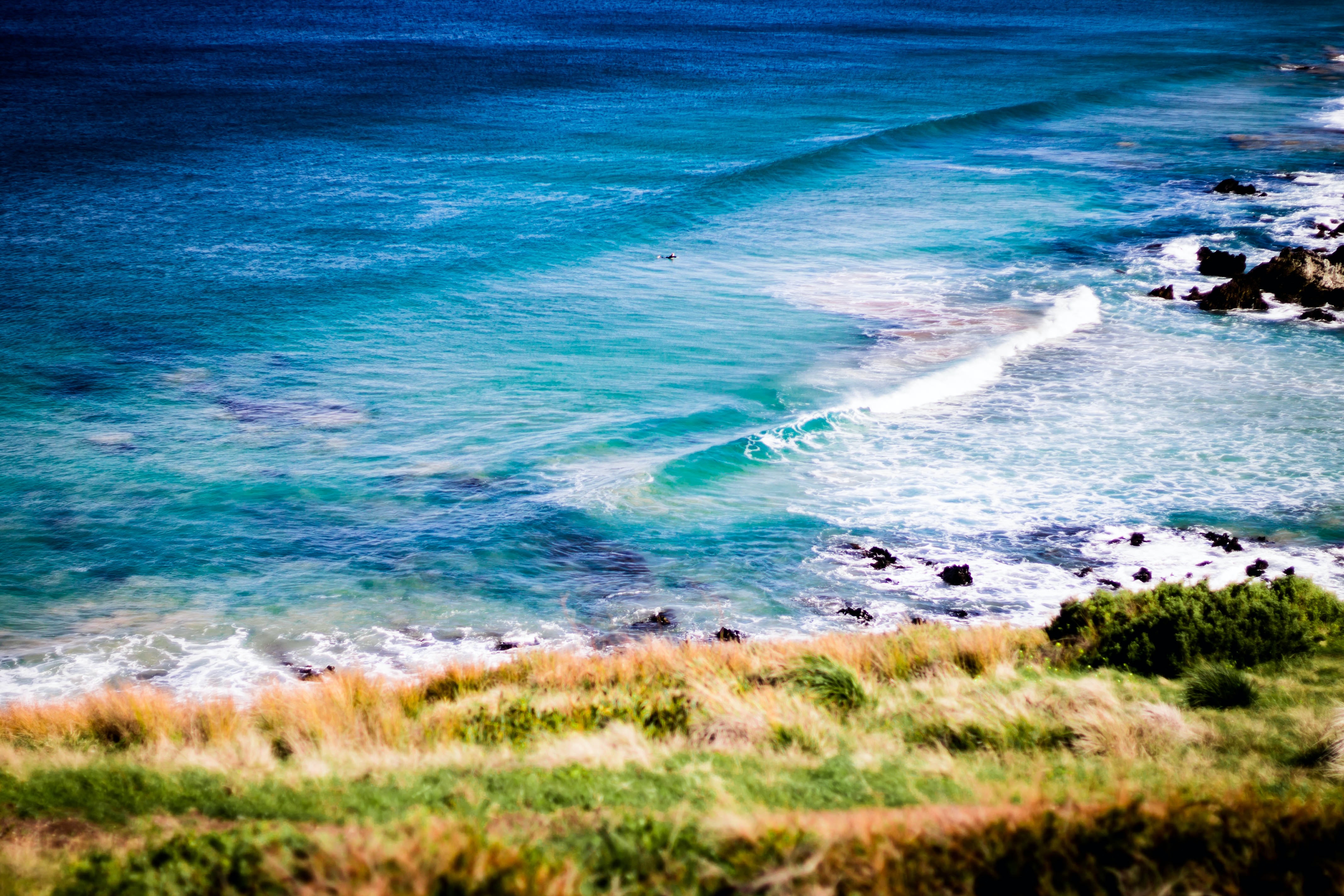 Image blog - Explore Victor Harbor: Your Guide to Unforgettable Holiday Rentals with Search and Stay