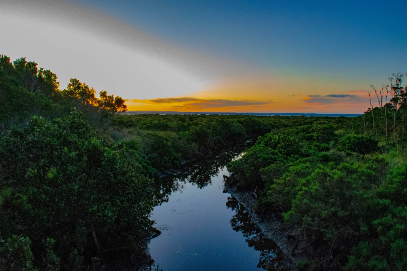 Image blog - Explore Victoria's Hidden Gems: Nature, Wildlife, and Eco-Adventures with Search and Stay