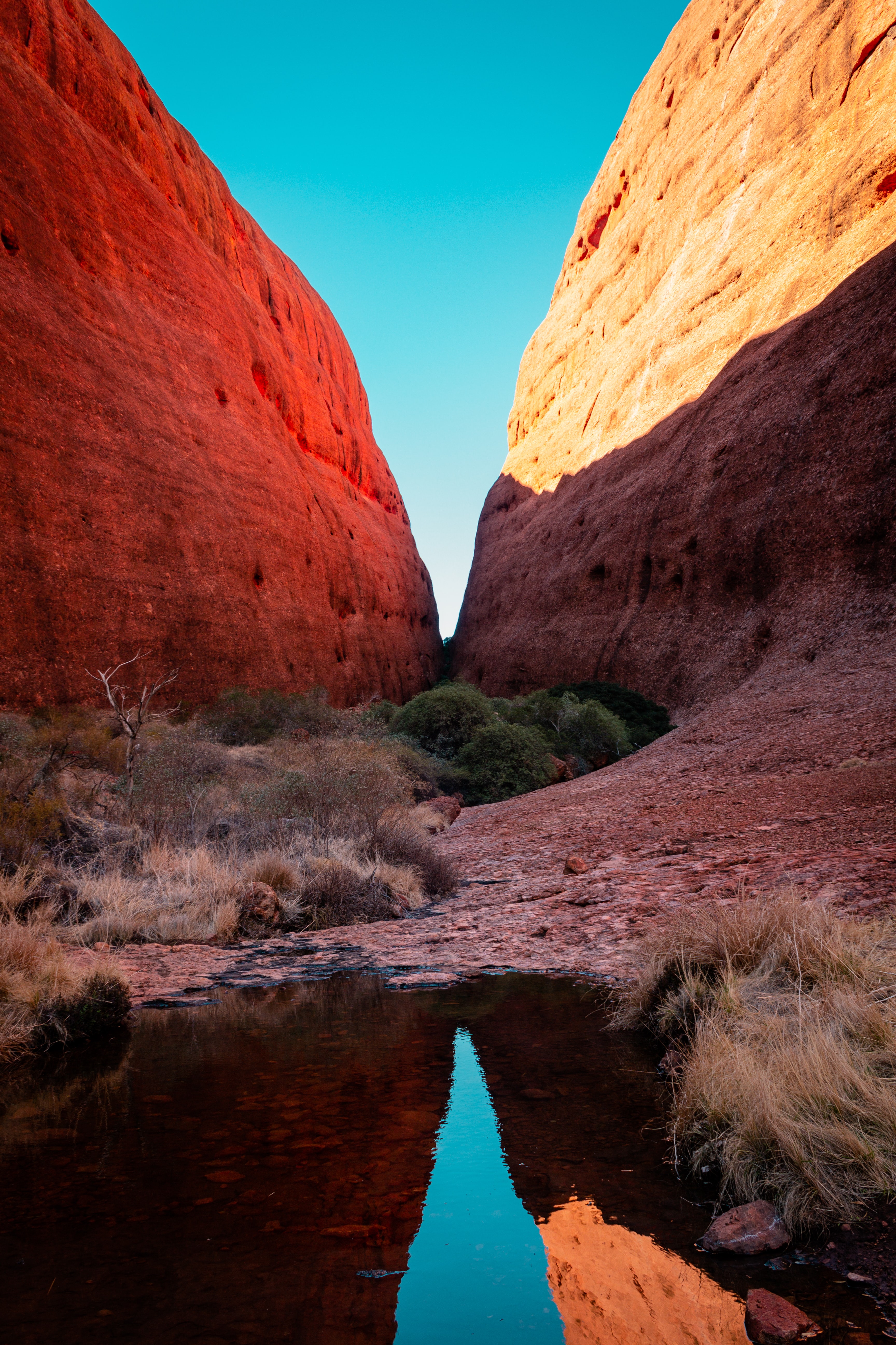 Image blog - Explore Australia's Rich Indigenous Cultures with Search and Stay