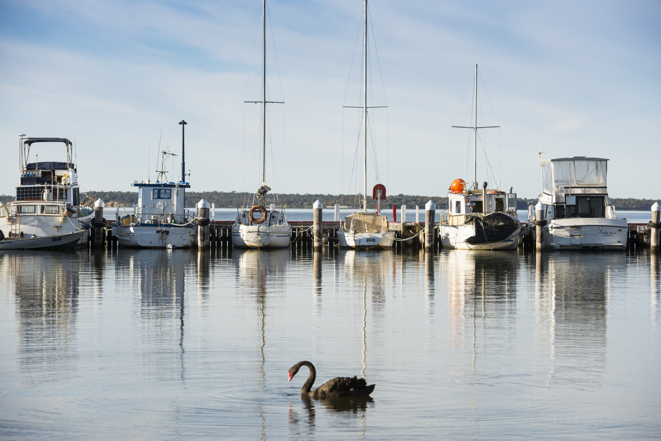 Image blog Paynesville in Victoria's Gippsland area is the perfect holiday escape and includes Koalas