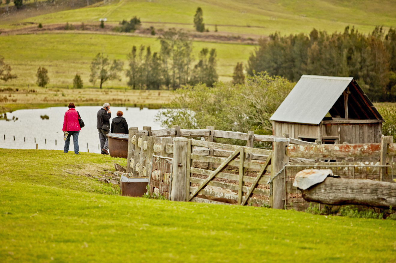 Image blog - Search and Stay: Dungog Shire, Hunter, New South Wales