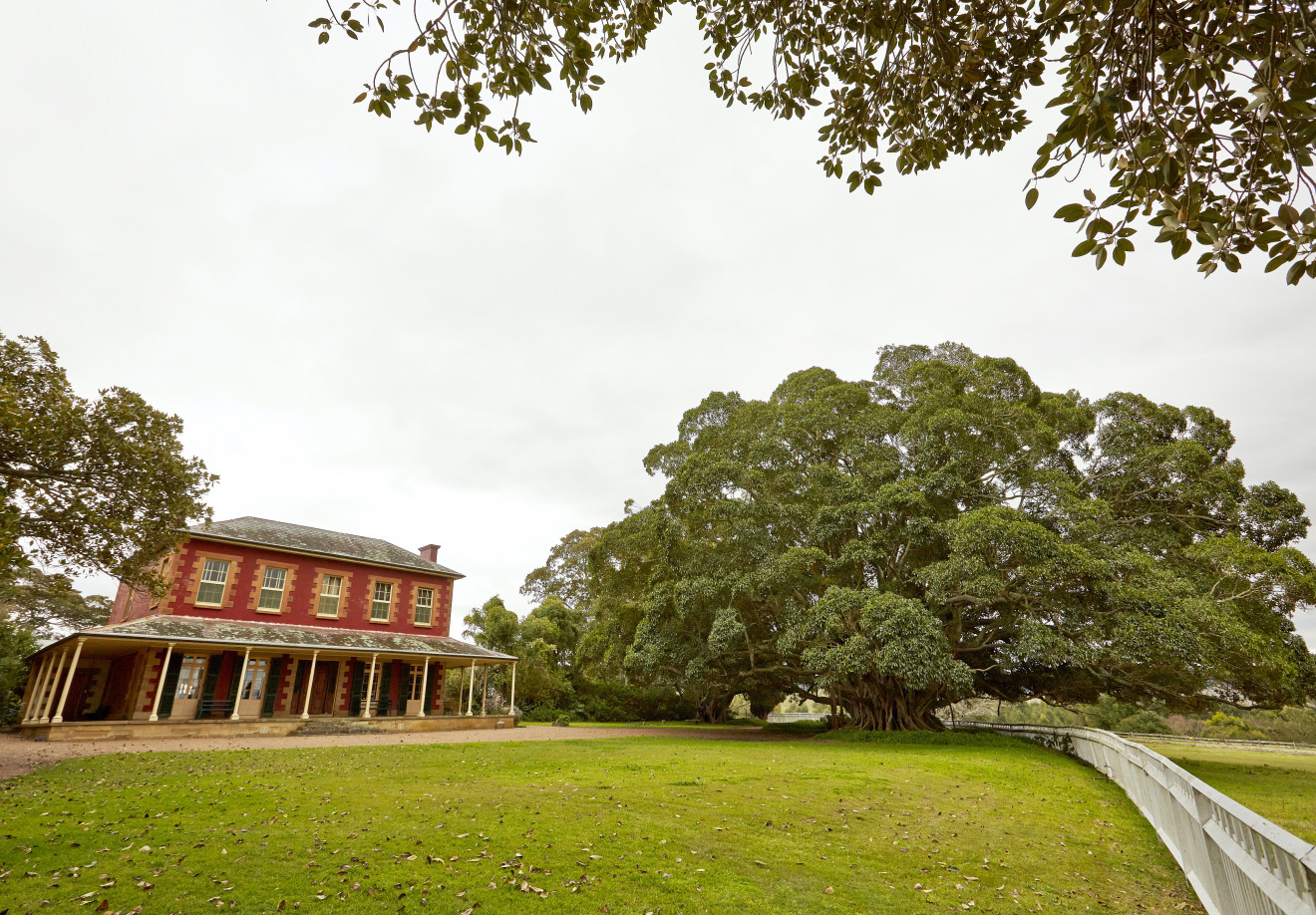 Image blog Search and Stay: Dungog Shire, Hunter, New South Wales