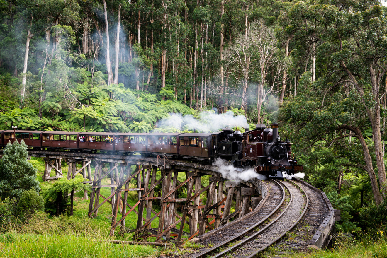 Image blog - 8 Great Reasons to Visit Victoria's Dandenong Ranges & Where to Stay