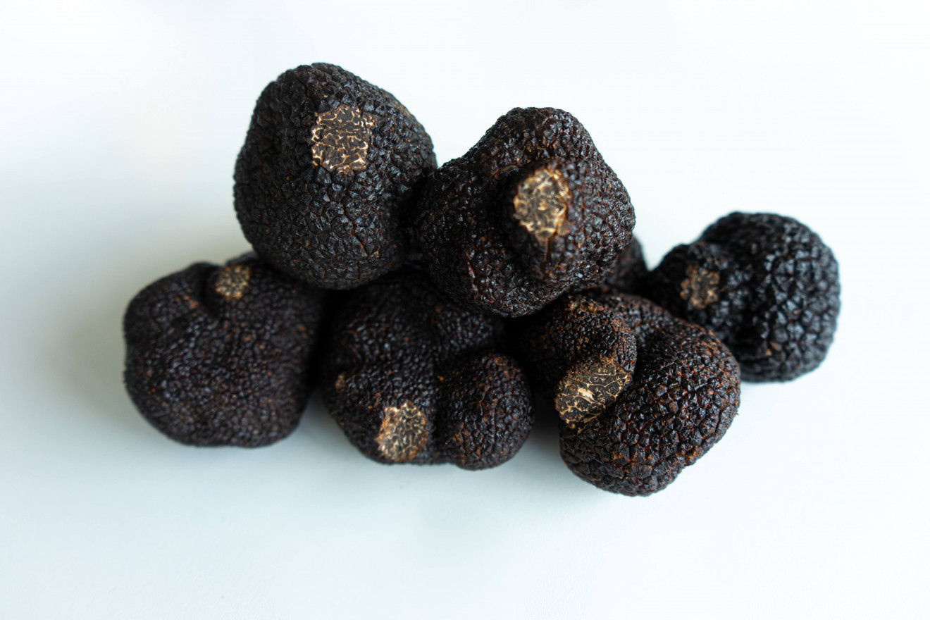 Image blog - Join The Hunt For Truffles In Western Australia