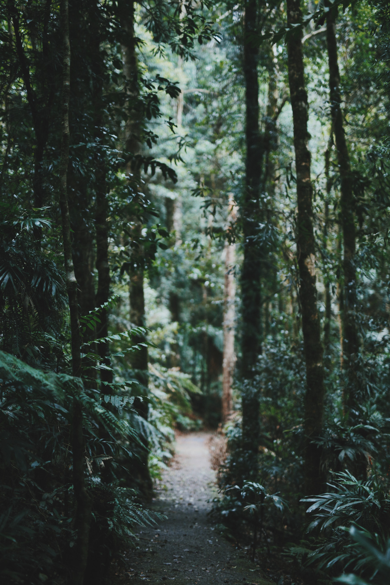 Image blog Search and Stay: Bellingen, New South Wales
