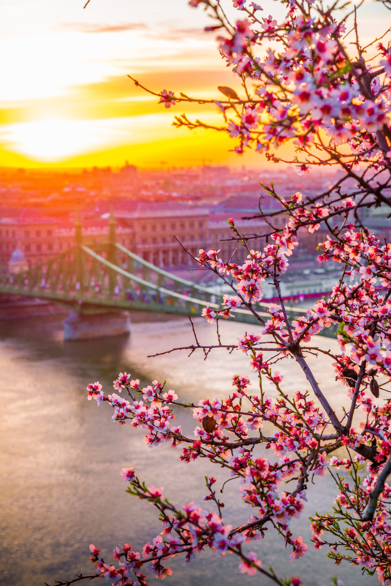 Image blog Top 15 places to book a holiday rental in Hungary