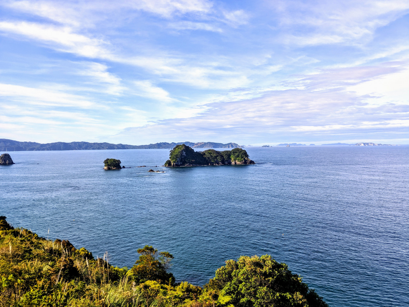 Image blog Discover 7 Top Experiences in The Coromandel, North Island, New Zealand