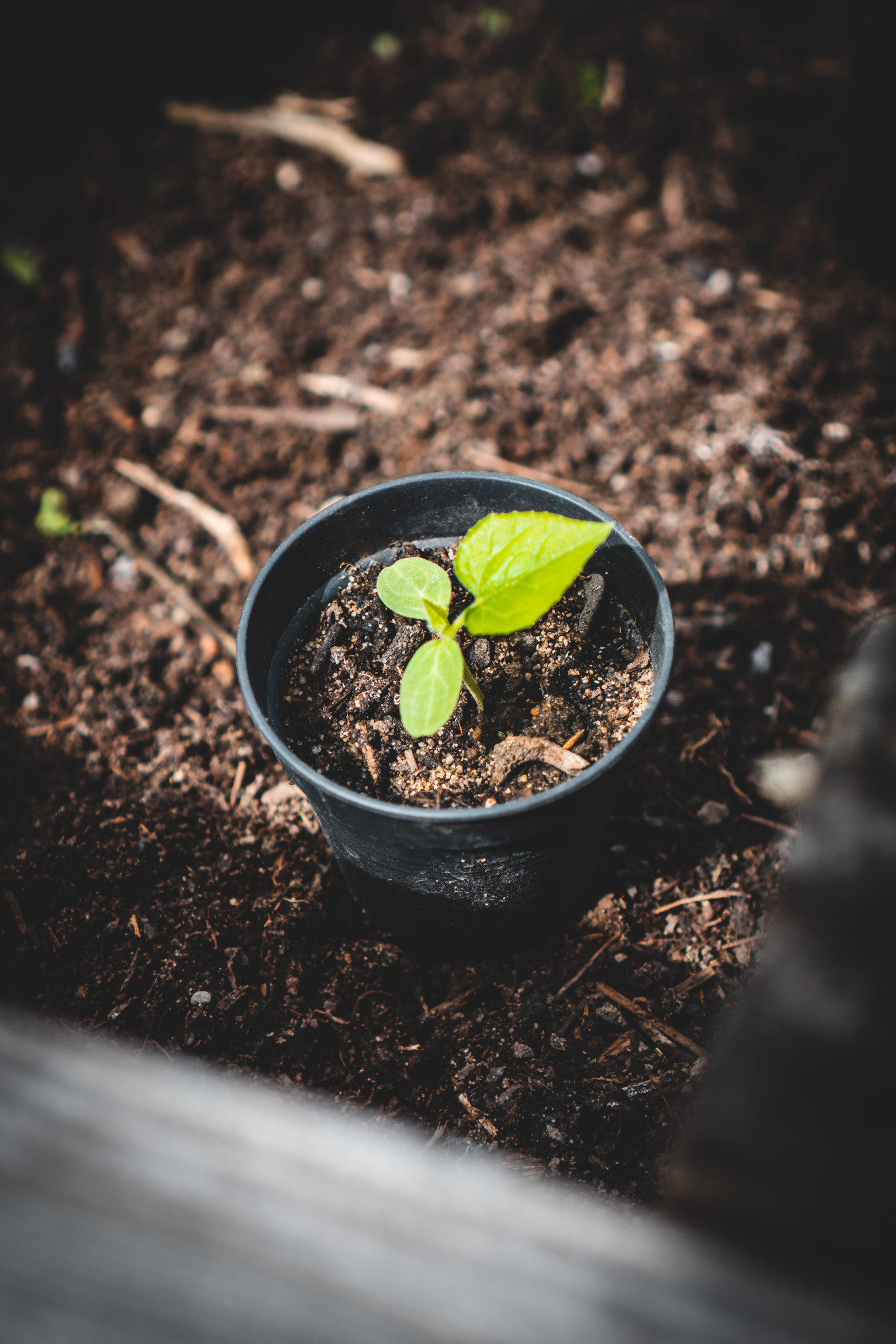 Image blog - The Rise of Sustainable Holiday Rentals: How to Make Eco-Friendly Choices