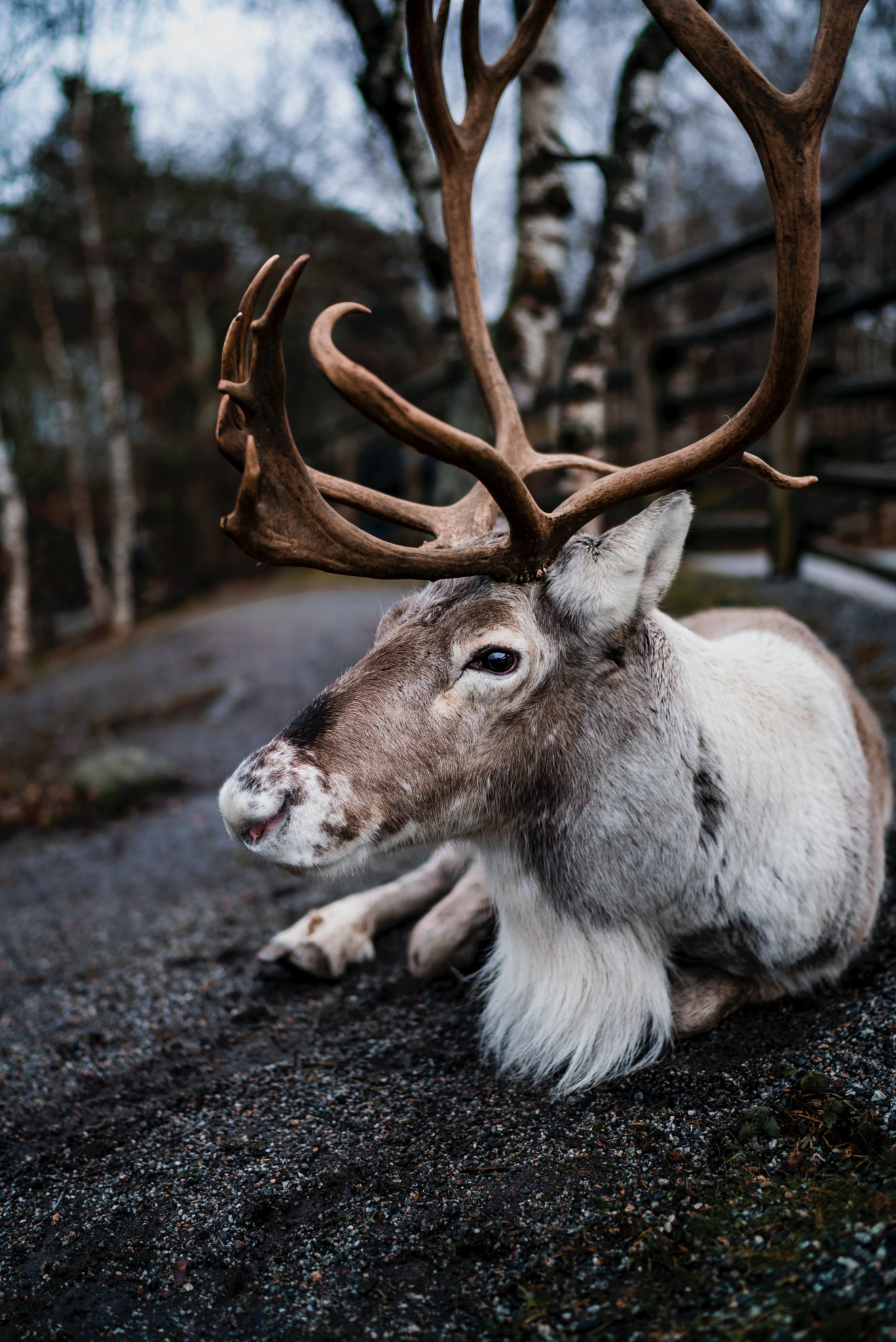 Image blog - Sweden Is a captivating destination with amazing holiday rentals