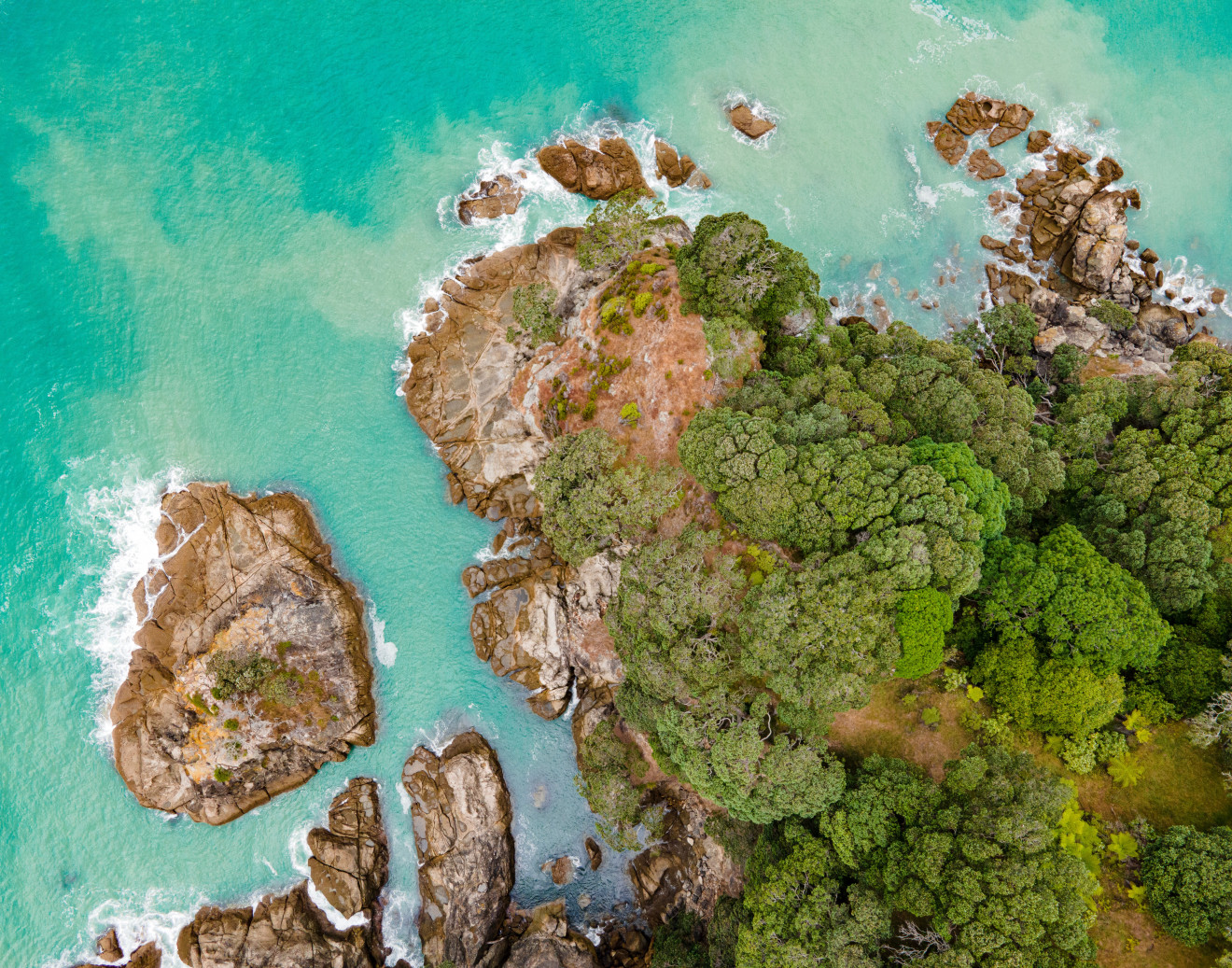 Image blog - Things To Do In The Bay Of Plenty, New Zealand