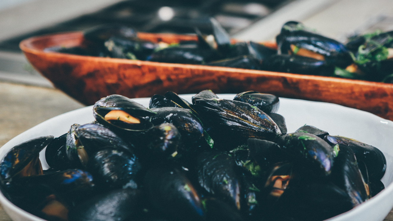 Image blog - Search and Stay: Portarlington Mussel Foodie Experience in Victoria’s Bellarine Peninsula