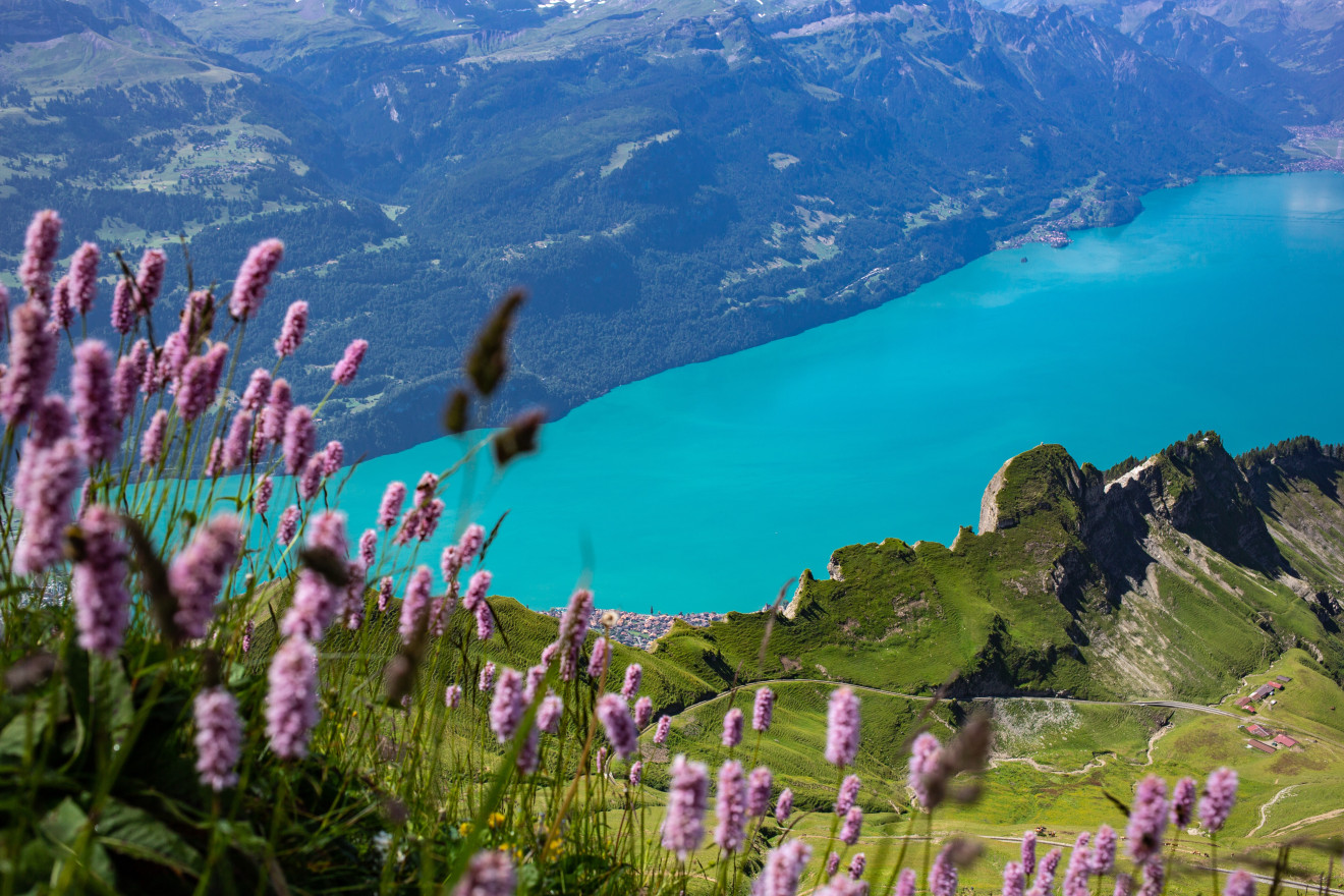Image blog Must-Visit Places in Switzerland For Your Next Holiday Rental