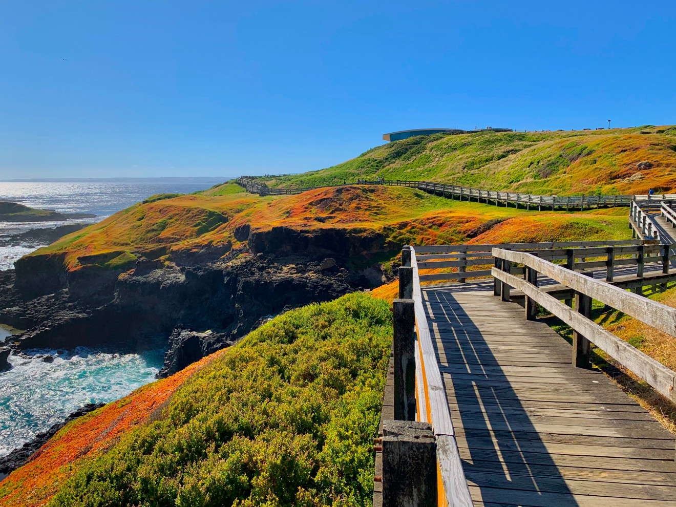 Image blog - Fabulous Phillip Island - Penguins, Whales, Chocolate and Motorcycles