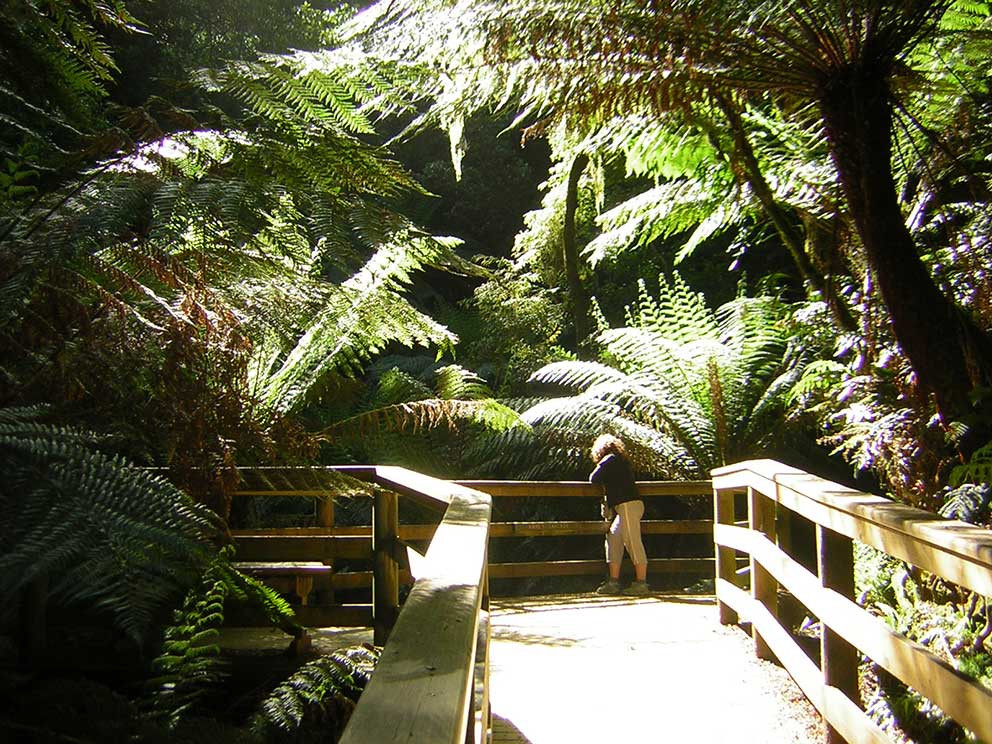 Search and Stay destination carousel image position 22