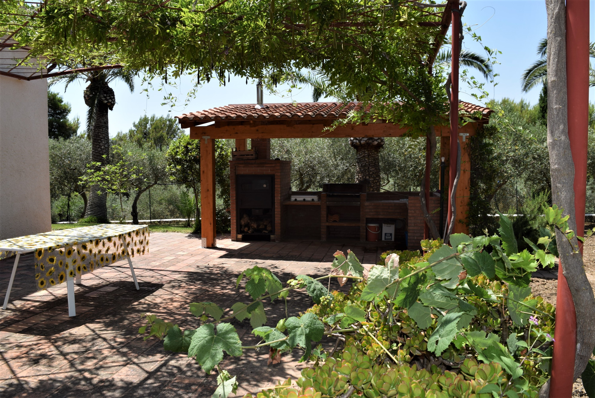 Search and Stay, undefined in undefined. Gallery position 3