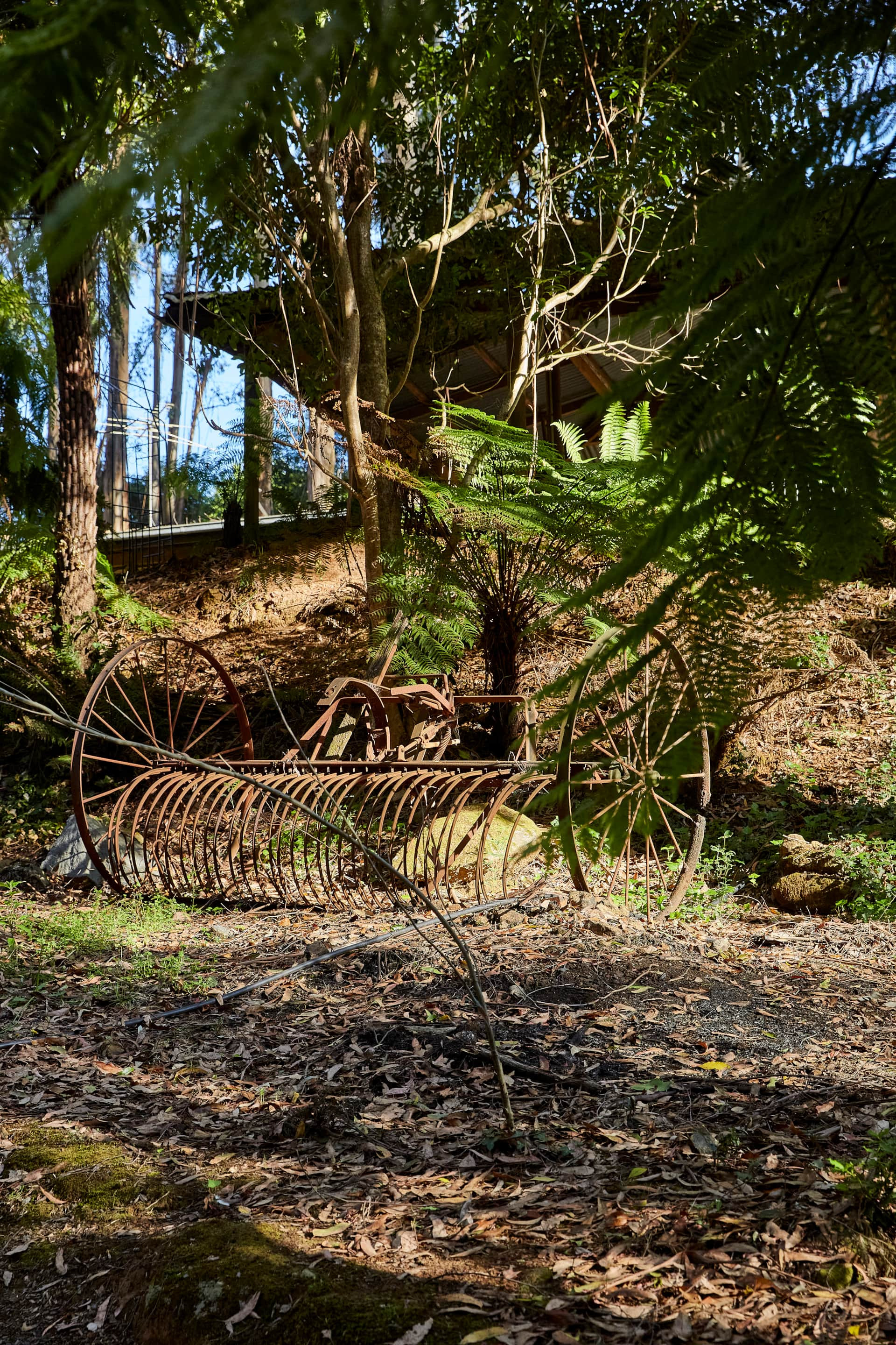 Search and Stay, undefined in undefined. Gallery position 2