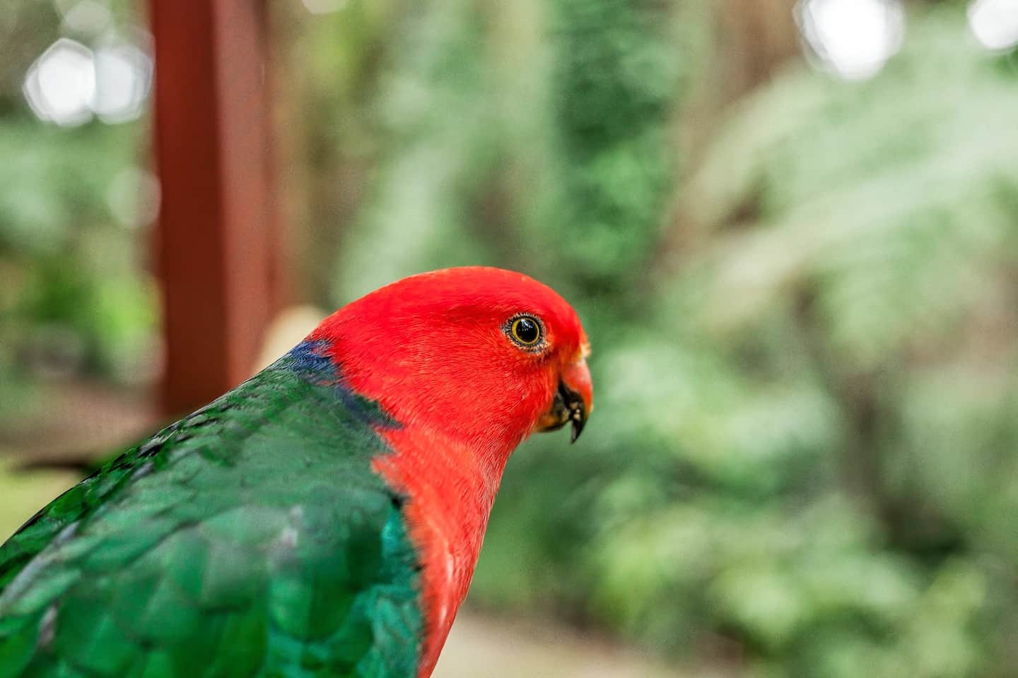 Search and Stay, undefined in undefined. Gallery position 4