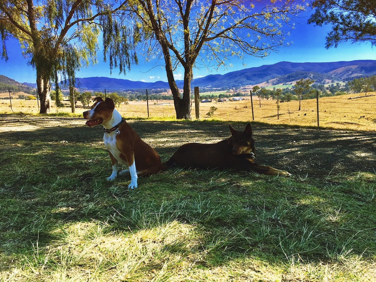 Search and Stay, undefined in undefined. Gallery position 1