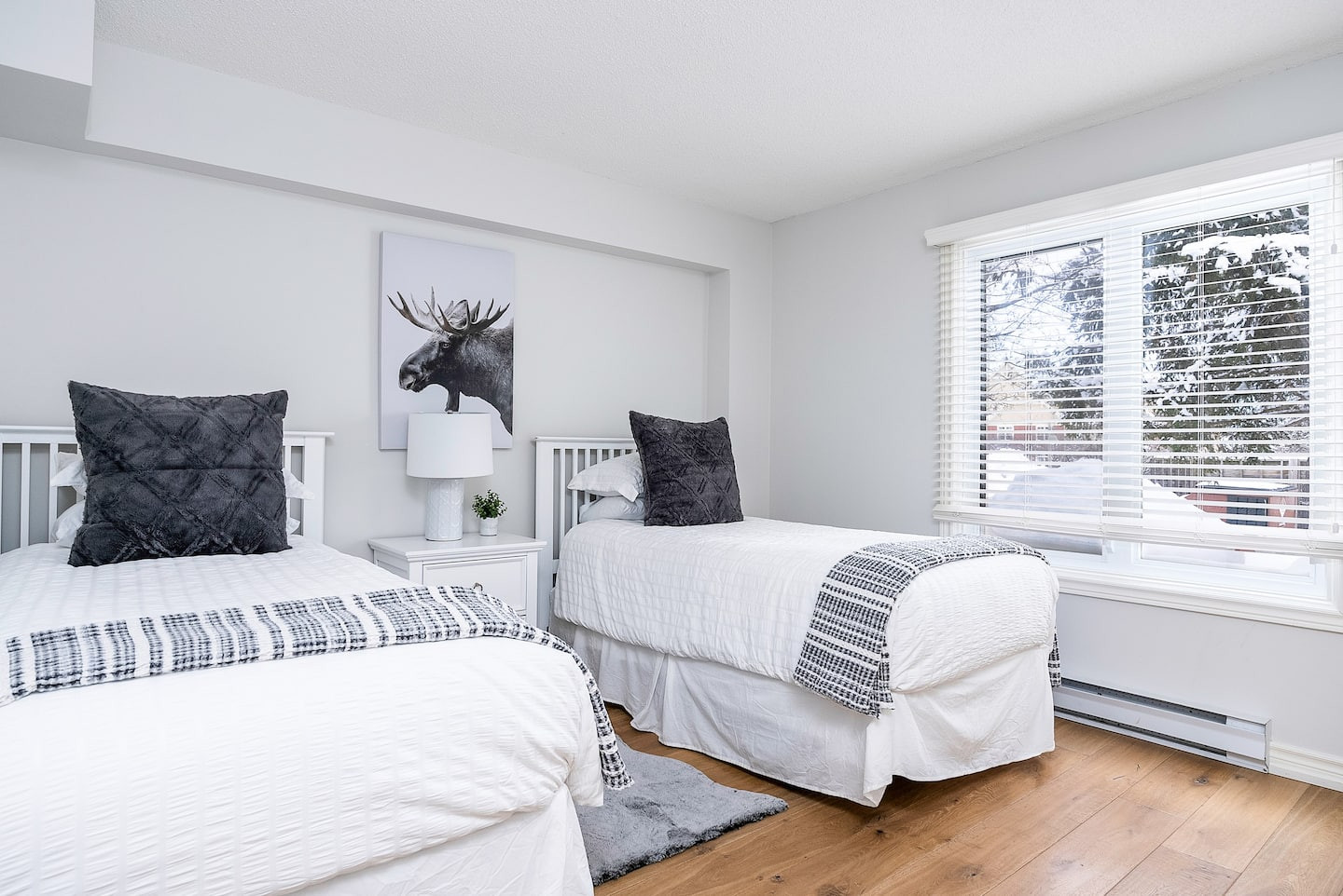 Search and Stay, undefined in undefined. Gallery position 4