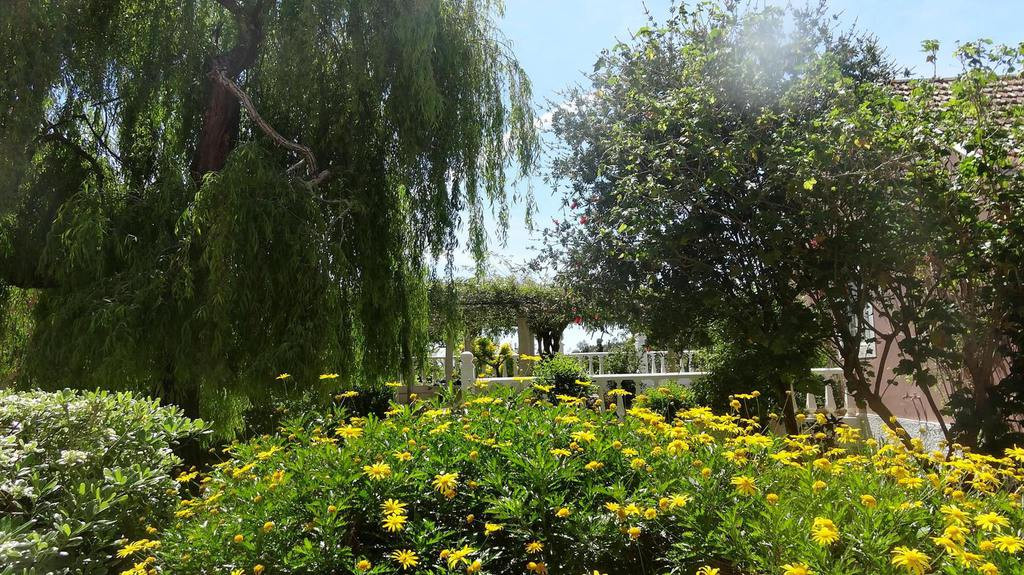 Search and Stay, undefined in undefined. Gallery position 3