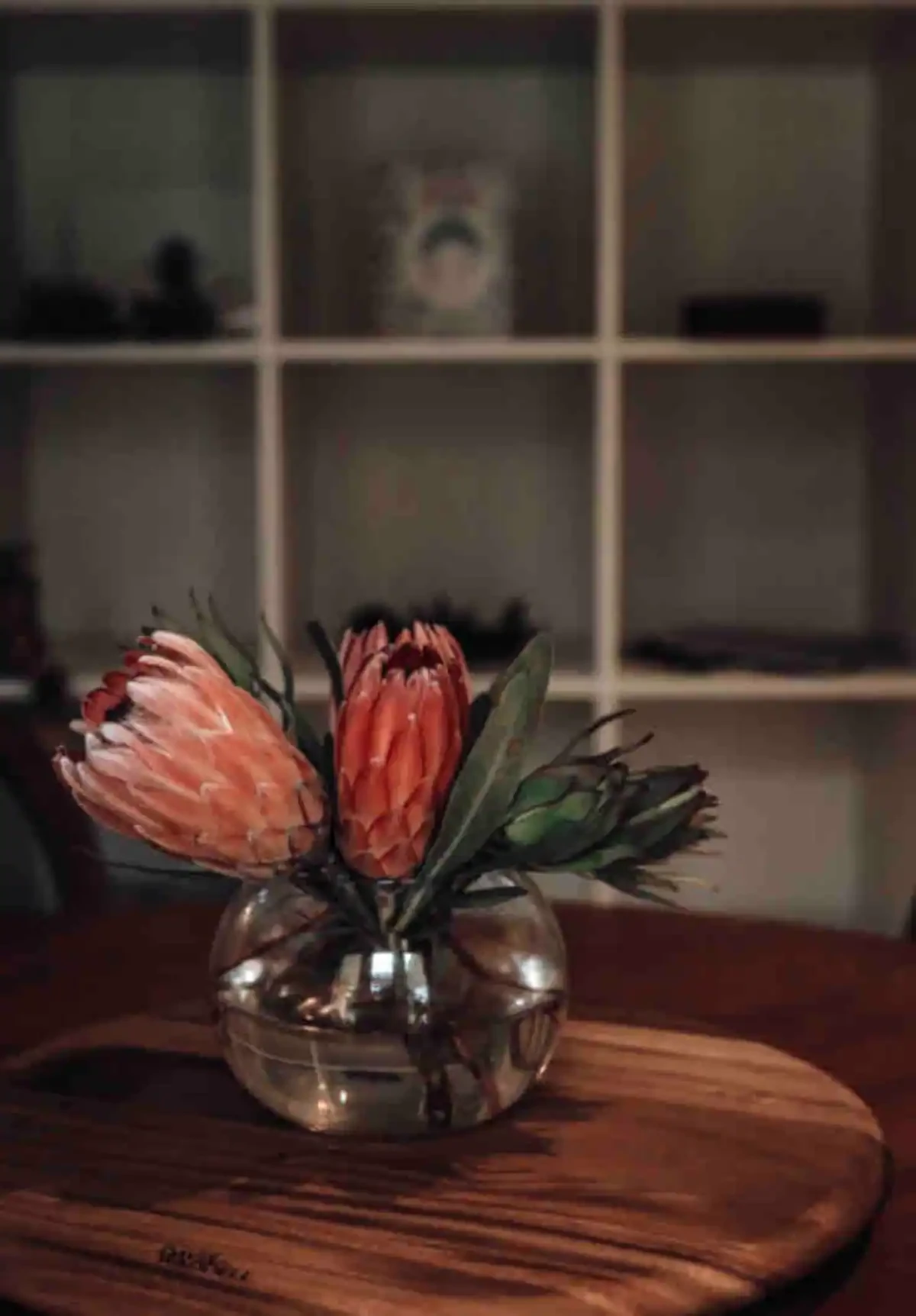 Search and Stay, undefined in undefined. Gallery position 4