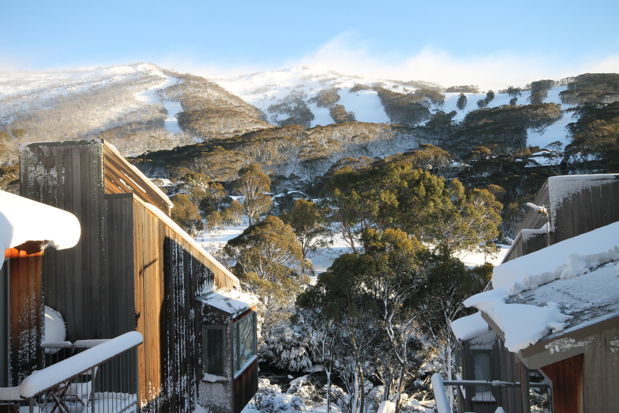 Search and Stay, undefined in undefined. Gallery position 2