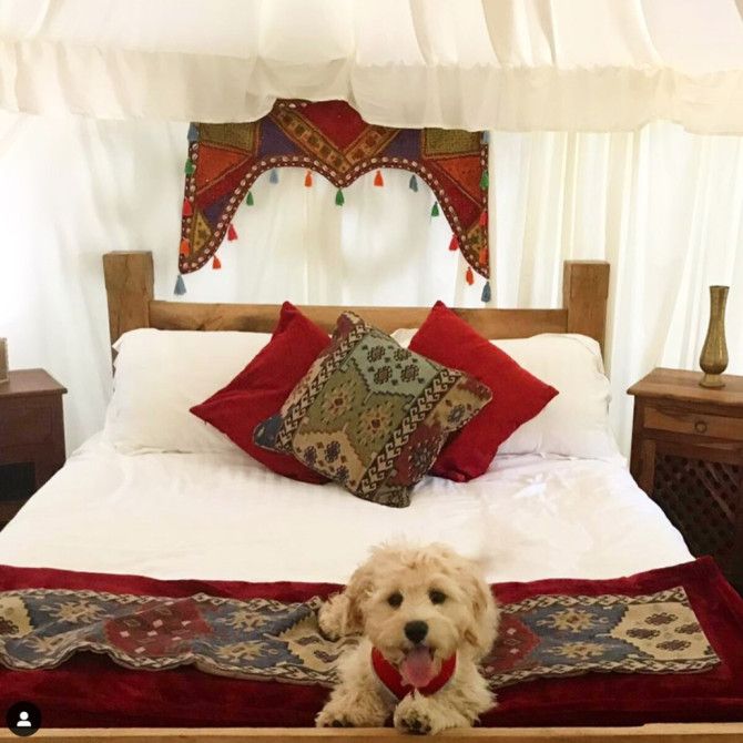 Search and Stay destination West Sussex, England - United Kingdom from AU$ 291. Luxury Yurt in Peaceful Setting near Chichester