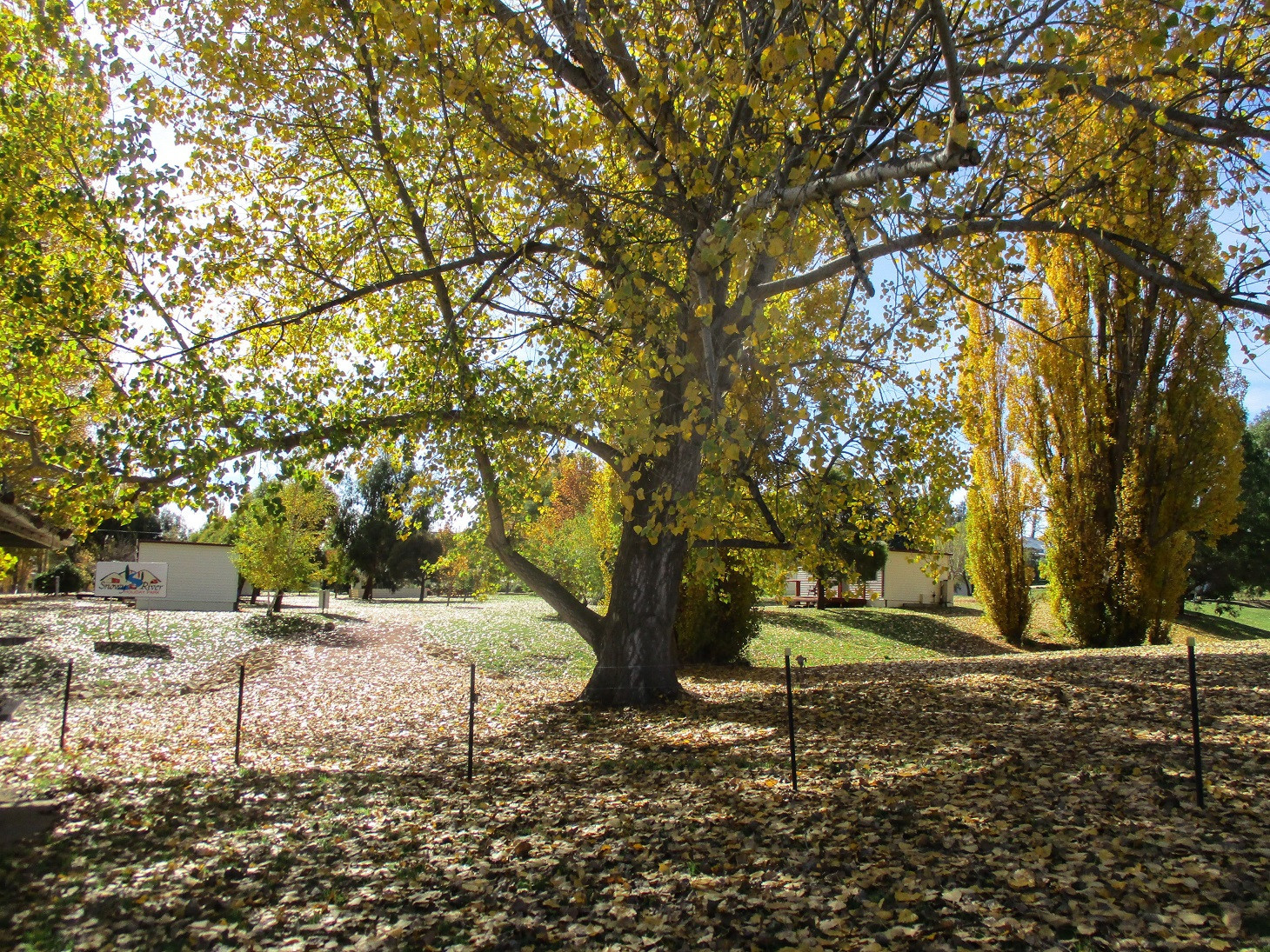 Search and Stay destination carousel image position 21