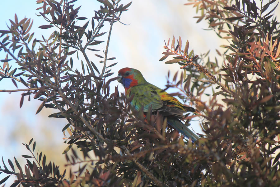 Search and Stay destination carousel image position 22