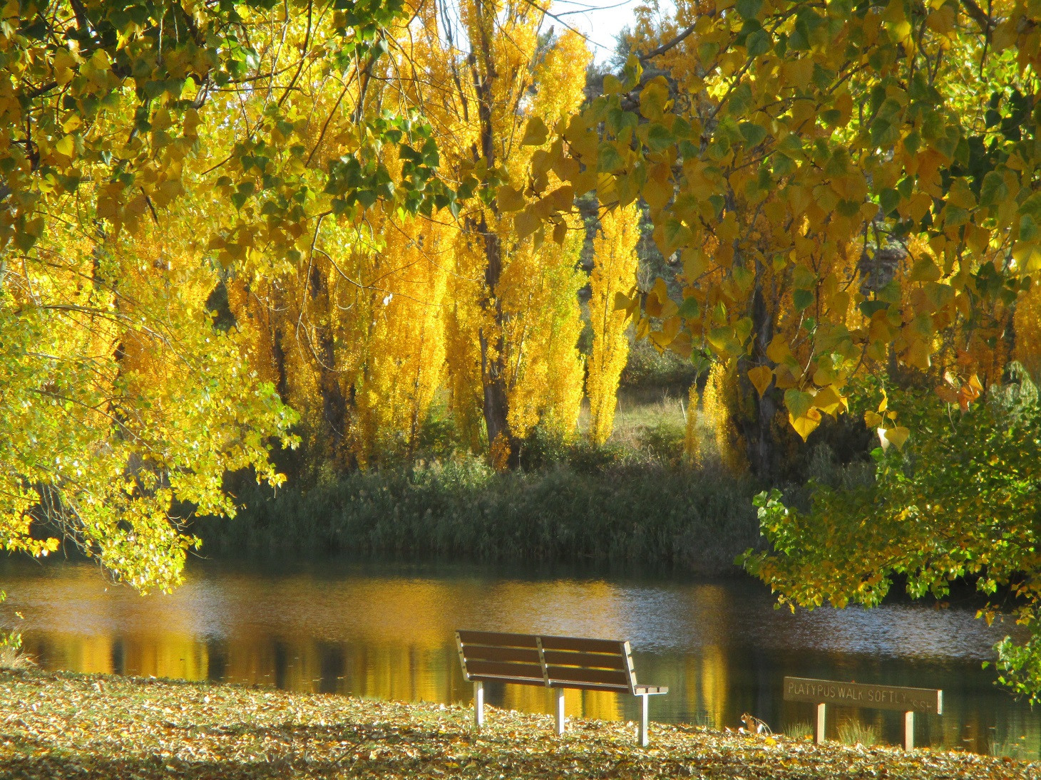 Search and Stay destination carousel image position 25