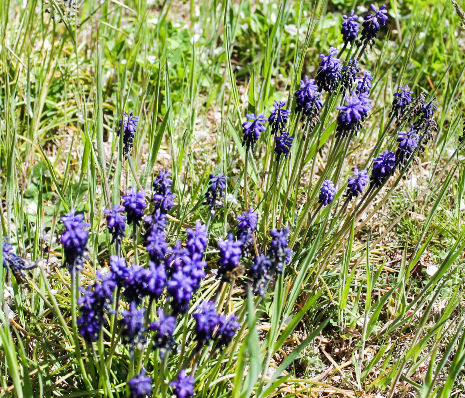 Search and Stay destination carousel image position 29