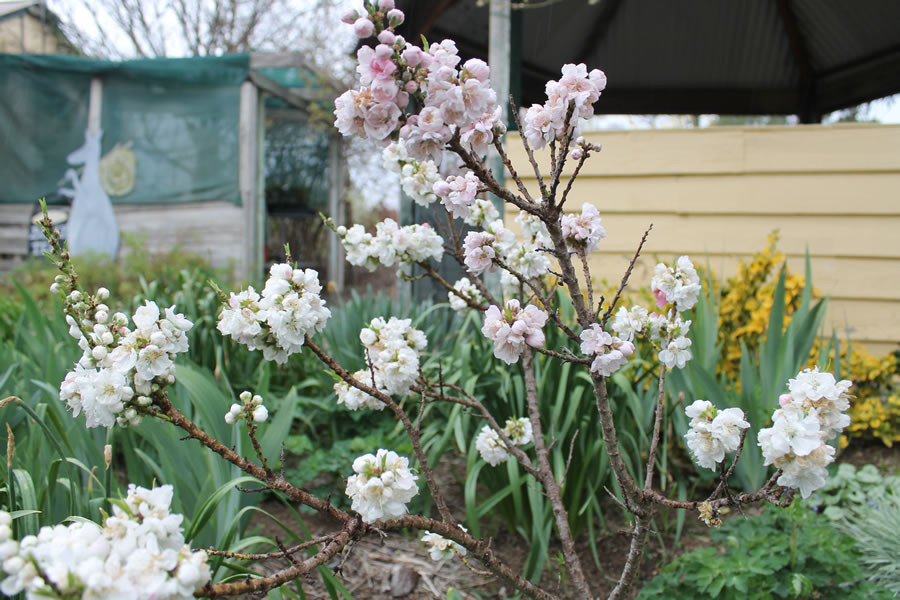 Search and Stay destination carousel image position 30