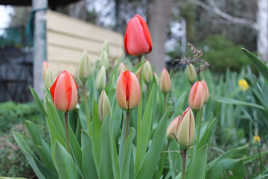 Search and Stay destination carousel image position 31