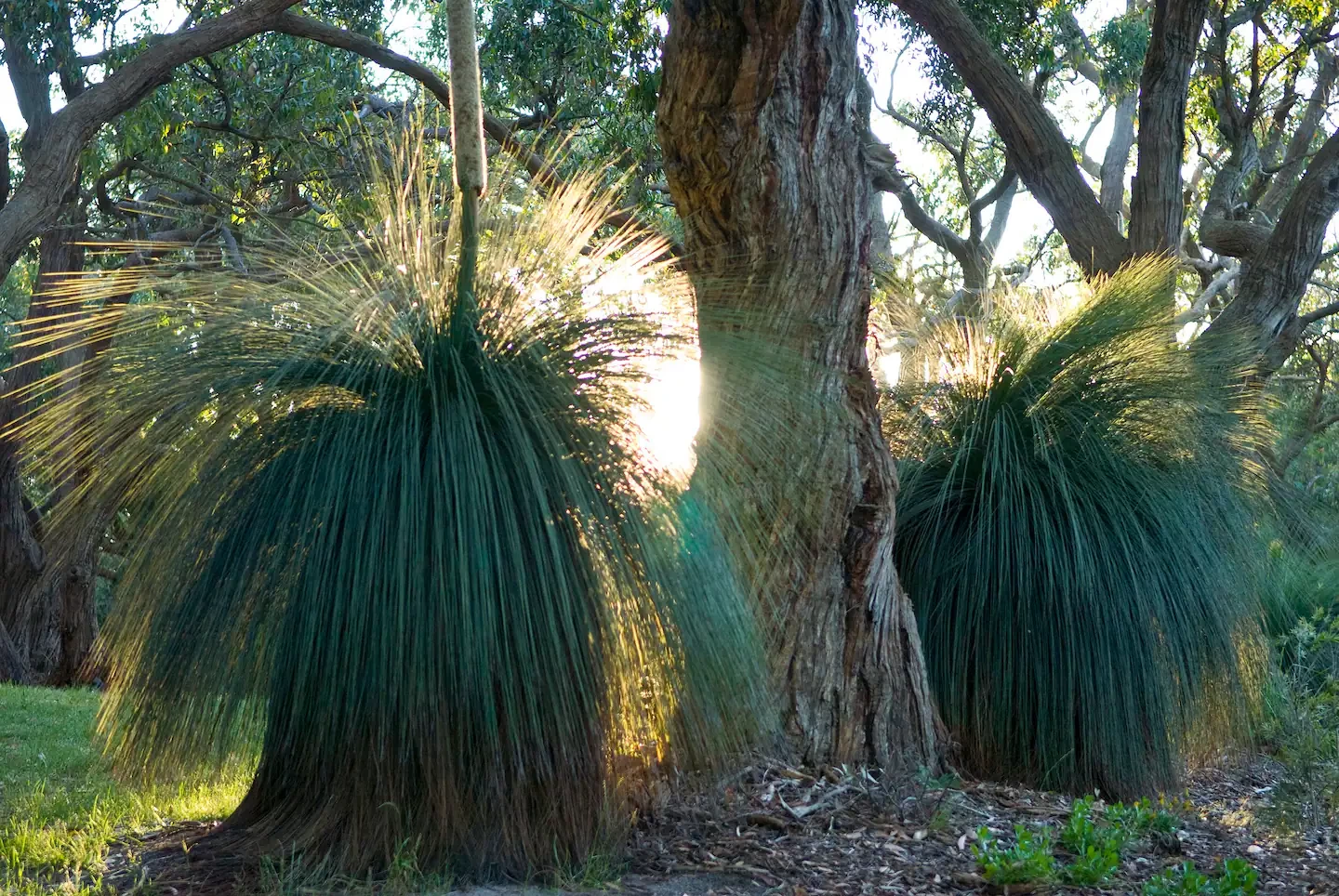 Search and Stay, undefined in undefined. Gallery position 4