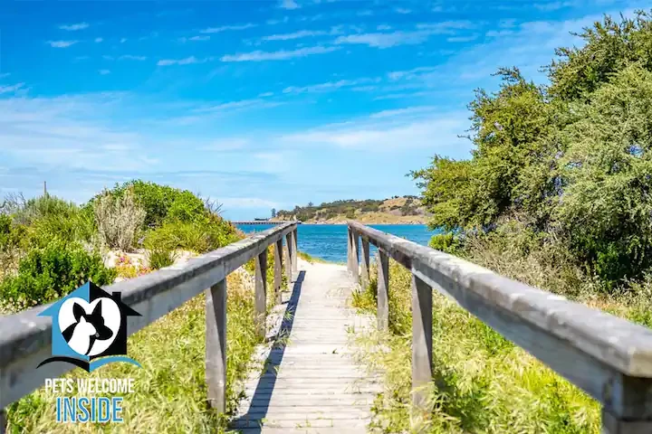 Search and Stay destination carousel image position 20