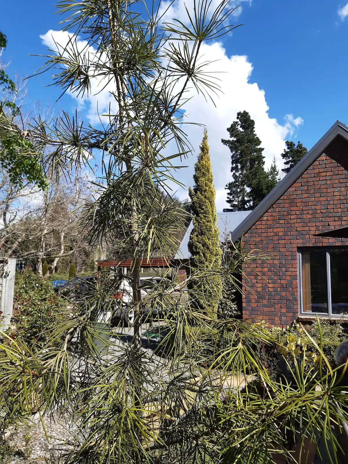 Search and Stay Destinations. Unit / Apartment Accommodation in Woodend, Canterbury - New Zealand