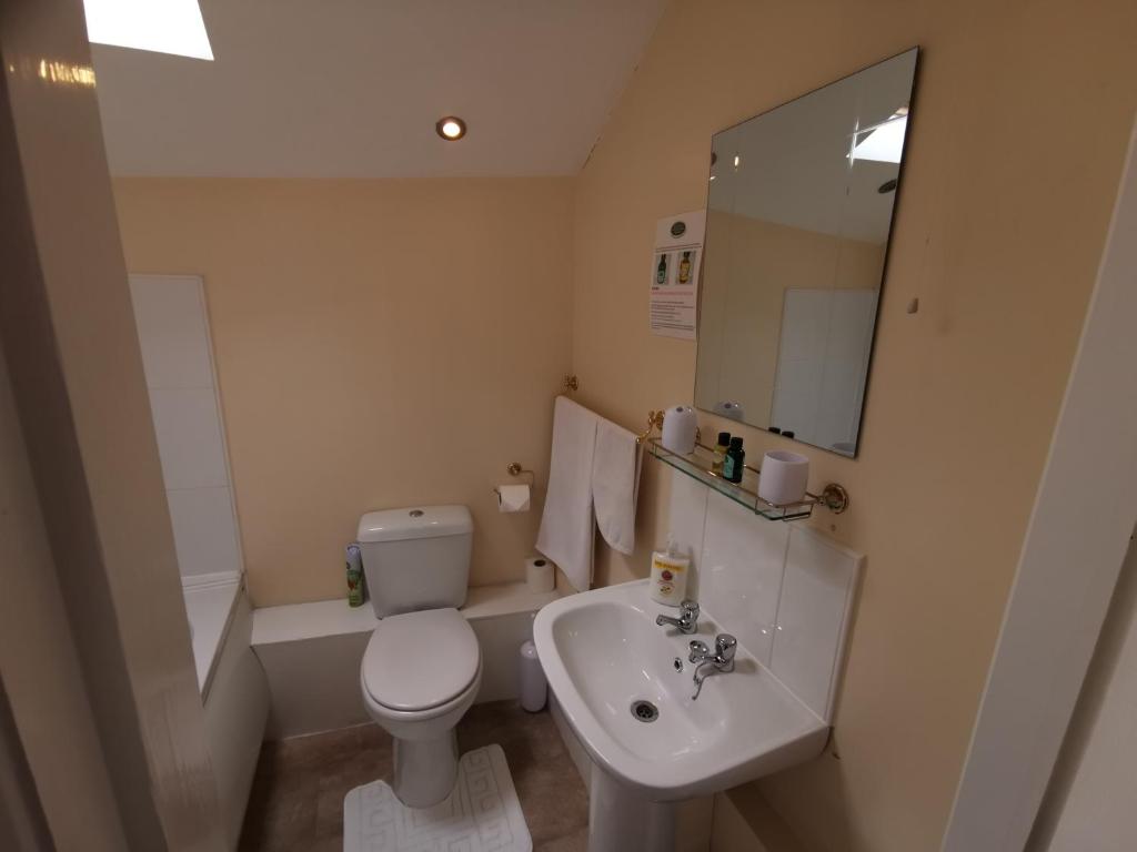 Search and Stay, undefined in undefined. Gallery position 3