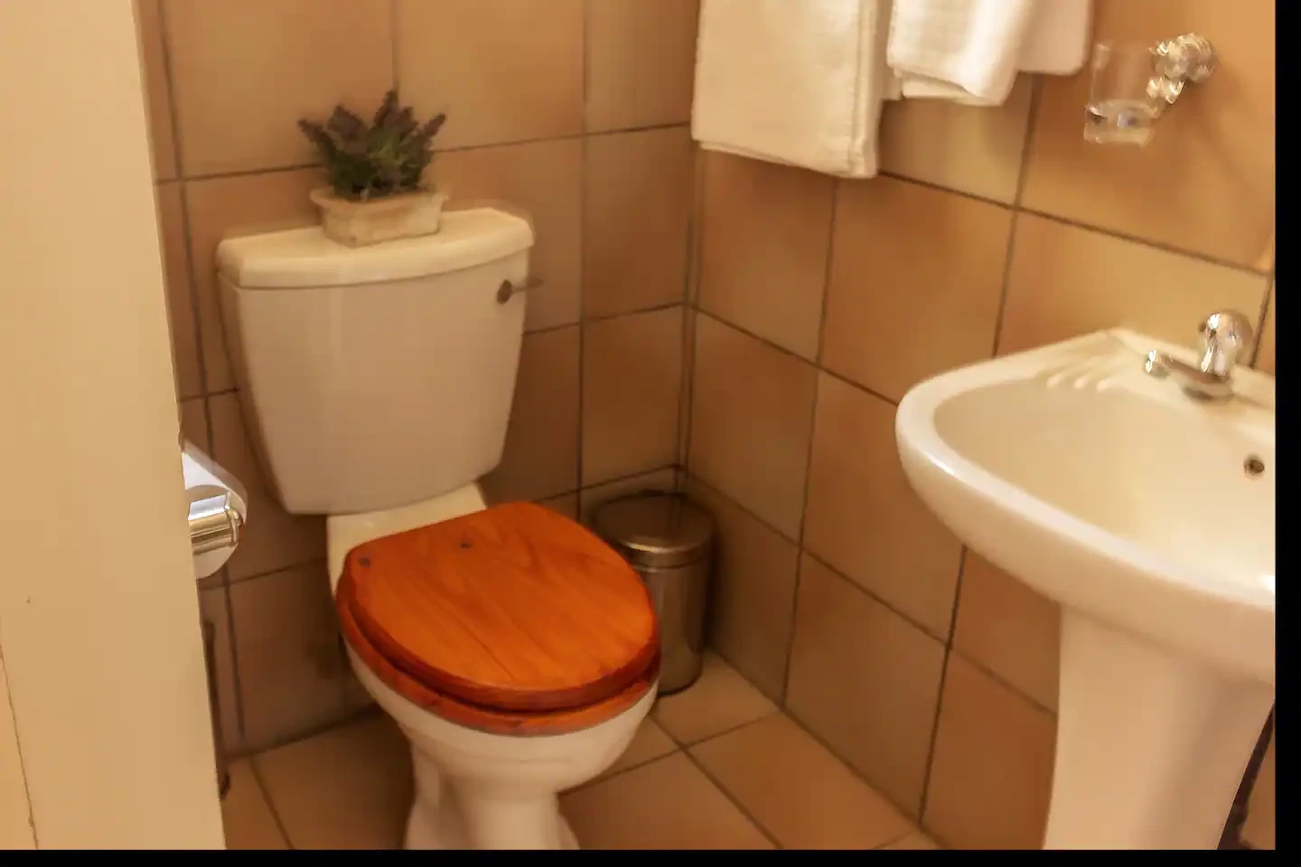 Search and Stay, undefined in undefined. Gallery position 3