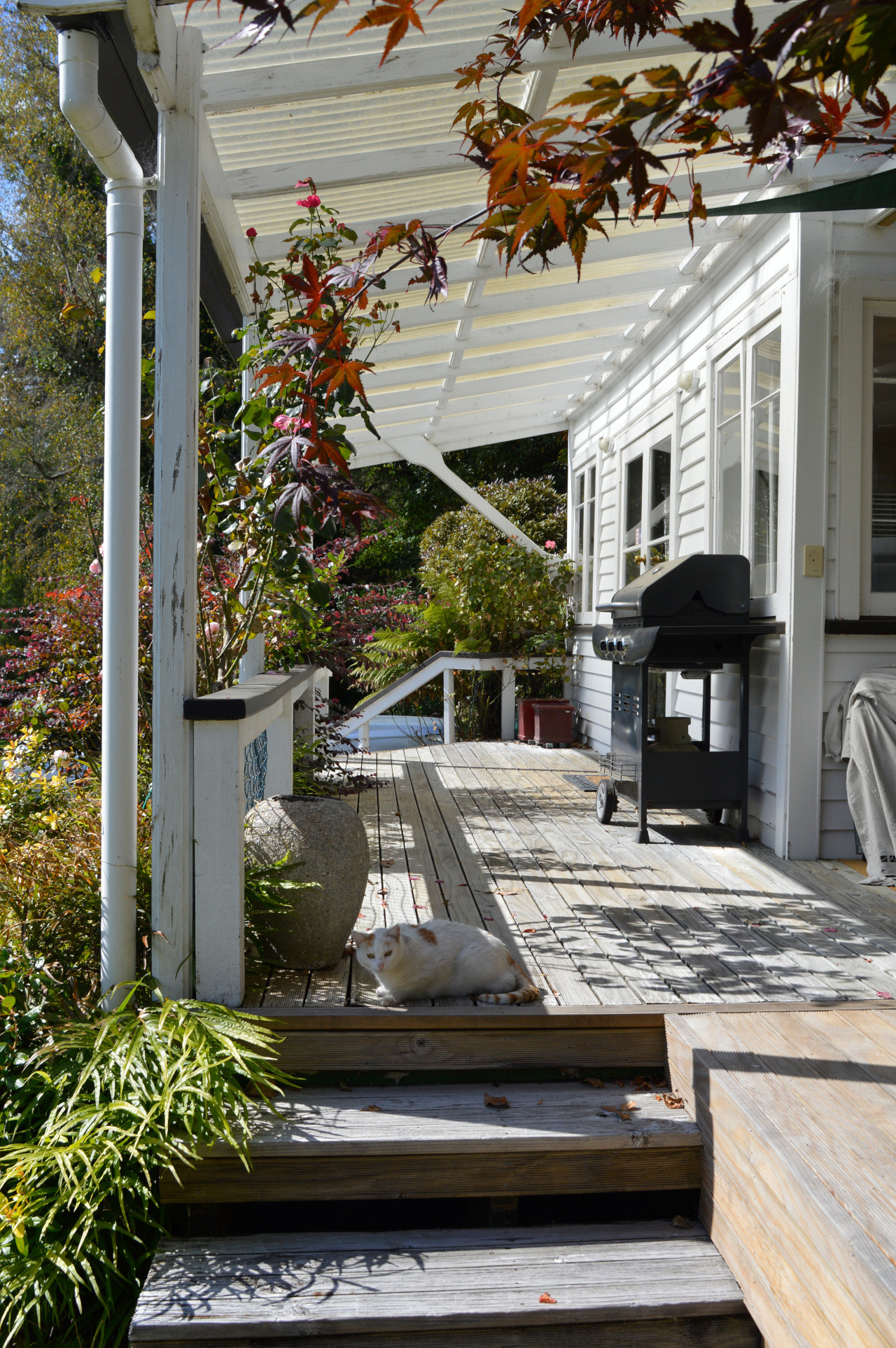 Search and Stay, undefined in undefined. Gallery position 2