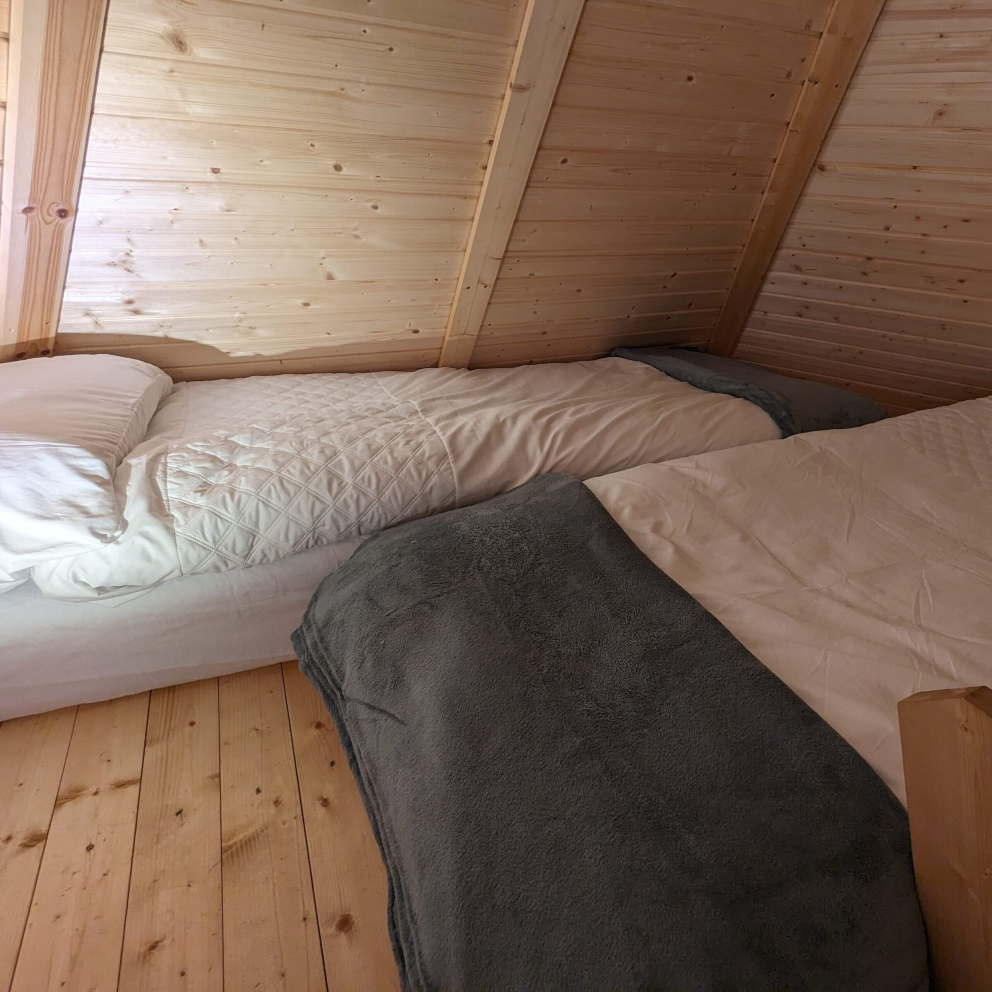 Search and Stay, undefined in undefined. Gallery position 4