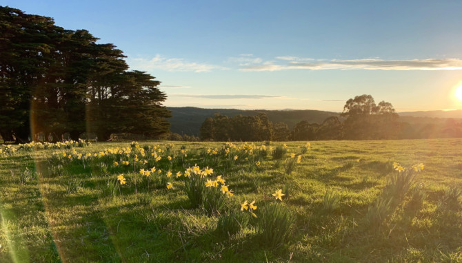 Search and Stay Pre Property, Tranquil country cottage in 1655 Mt Baw Baw Tourist Rd, Icy Creek VIC 3833, Australia. Gallery position 3