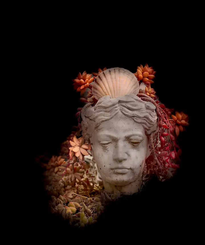 Search and Stay destination carousel image position 37